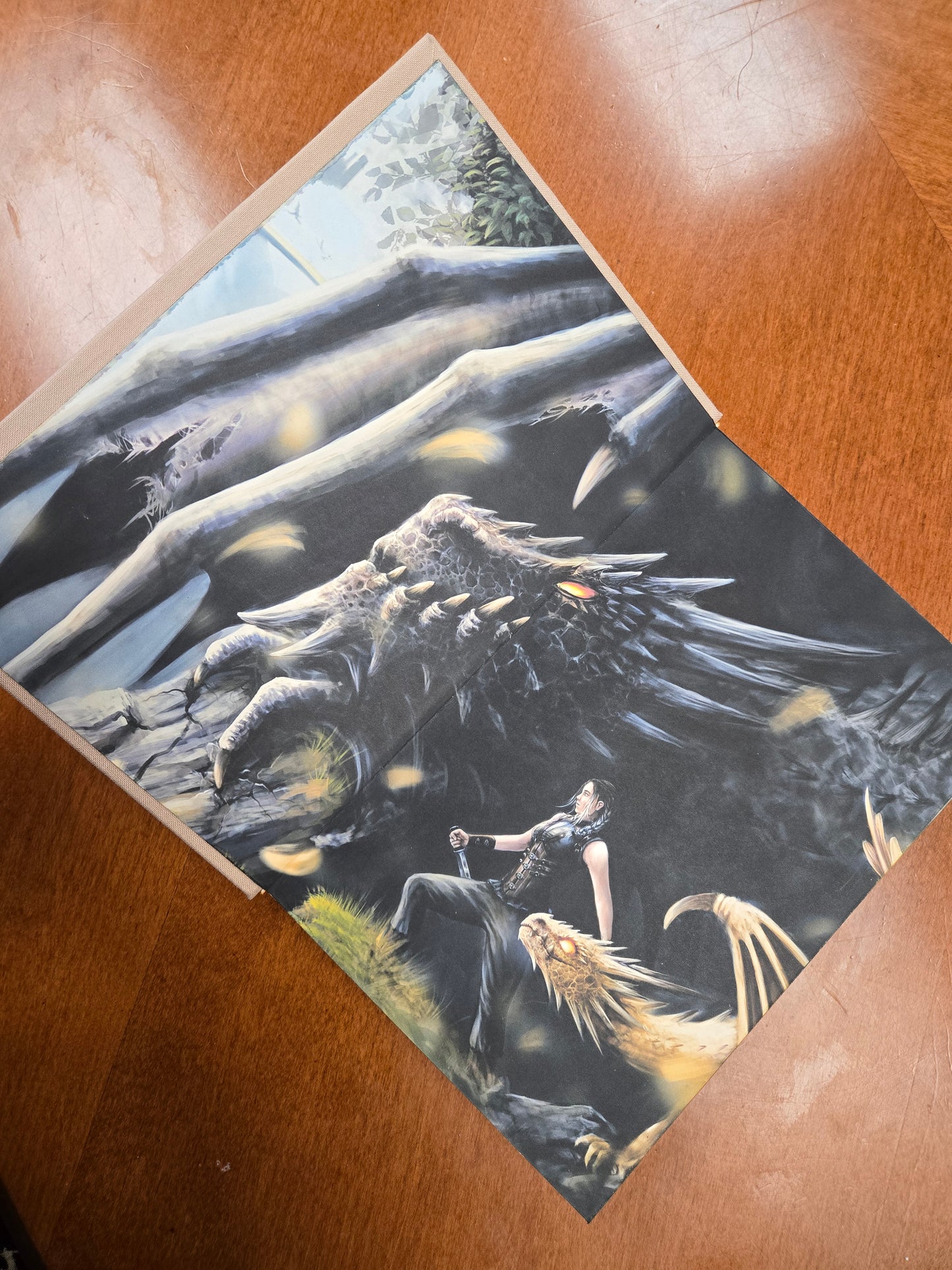 Fourth Wing - Custom Rebind