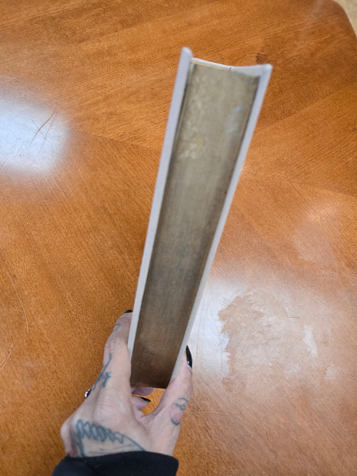 Fourth Wing - Custom Rebind