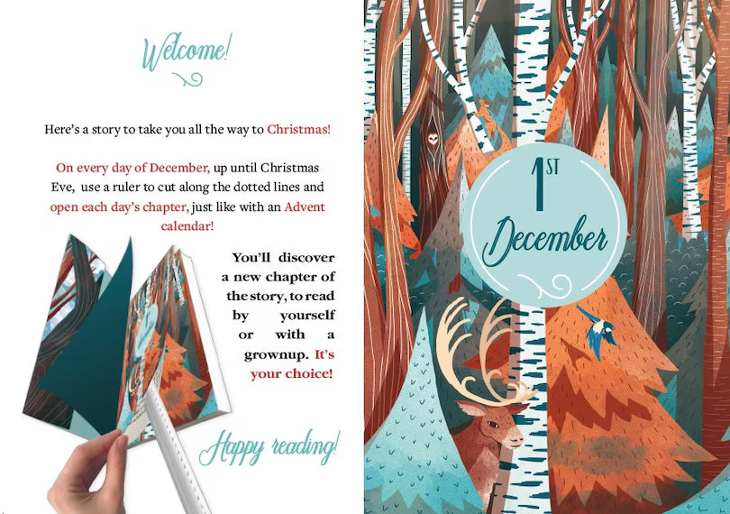 The Mysterious Reindeer