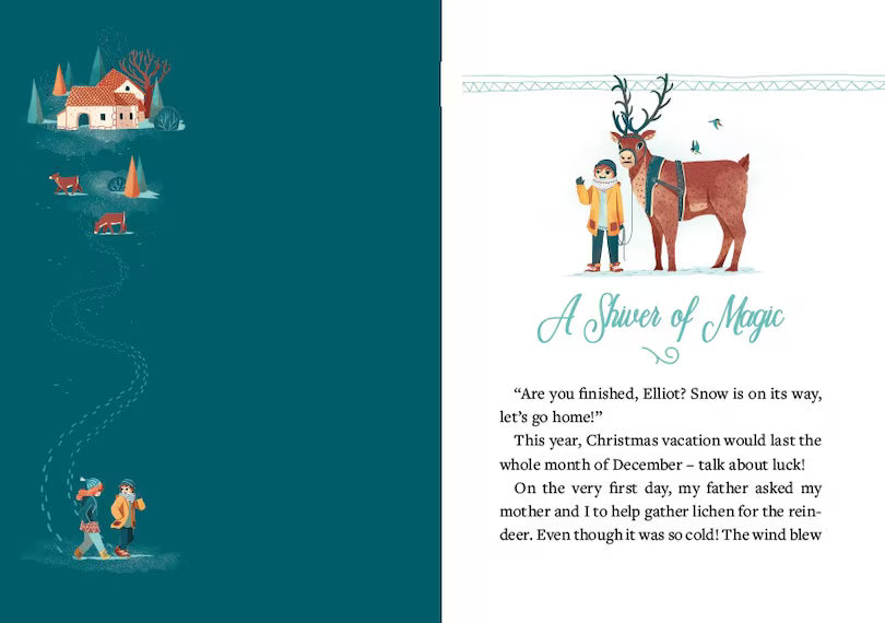 The Mysterious Reindeer