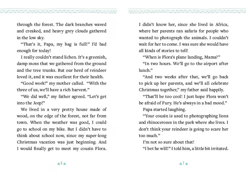 The Mysterious Reindeer